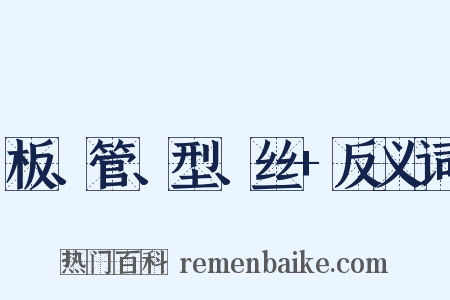 板、管、型、丝+反义词是什么意思的图片